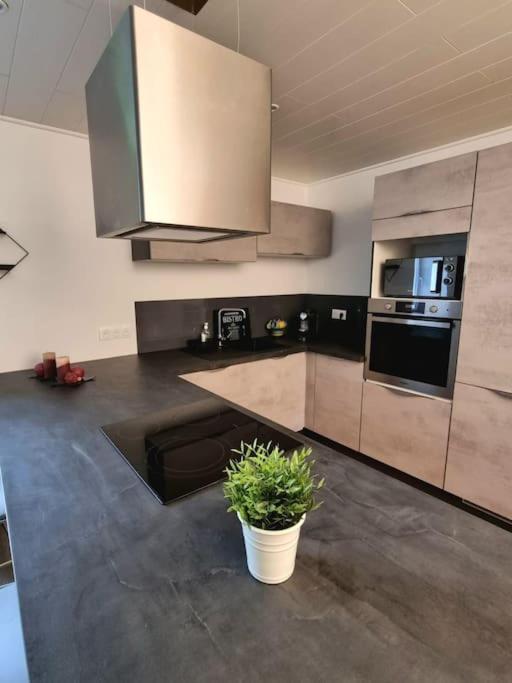 Appartement Chaleureux 80M2 Orbey Buitenkant foto